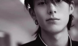 吃瓜娱乐圈王鹤棣,娱乐圈的瓜田新秀，星光璀璨的蜕变之路